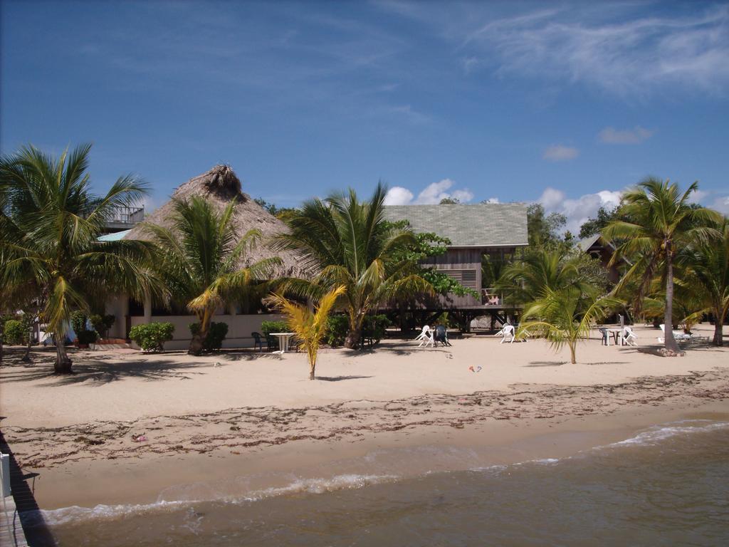 Green Parrot Beach Houses And Resort Placencia Exterior photo