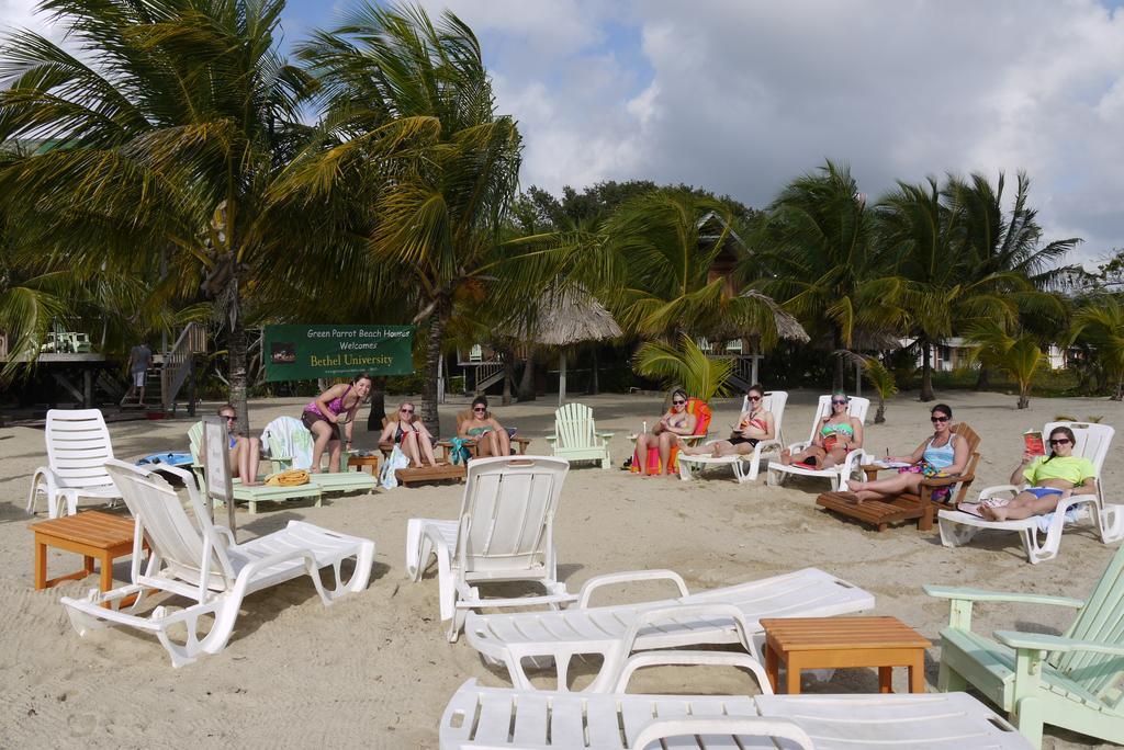 Green Parrot Beach Houses And Resort Placencia Exterior photo