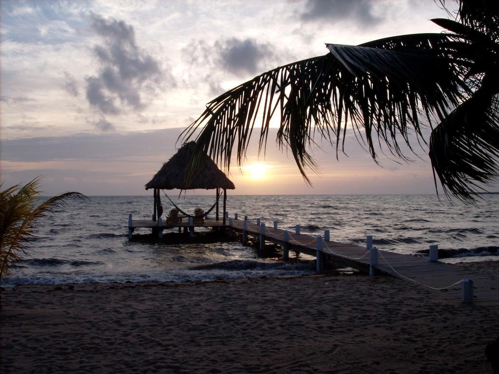 Green Parrot Beach Houses And Resort Placencia Exterior photo