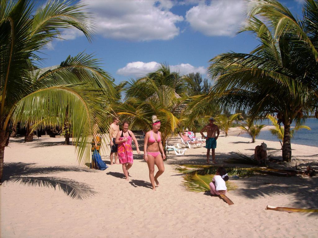 Green Parrot Beach Houses And Resort Placencia Exterior photo