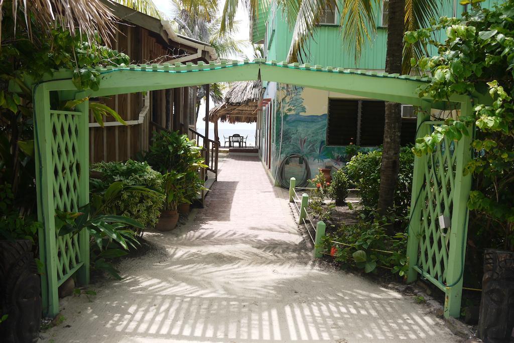 Green Parrot Beach Houses And Resort Placencia Exterior photo