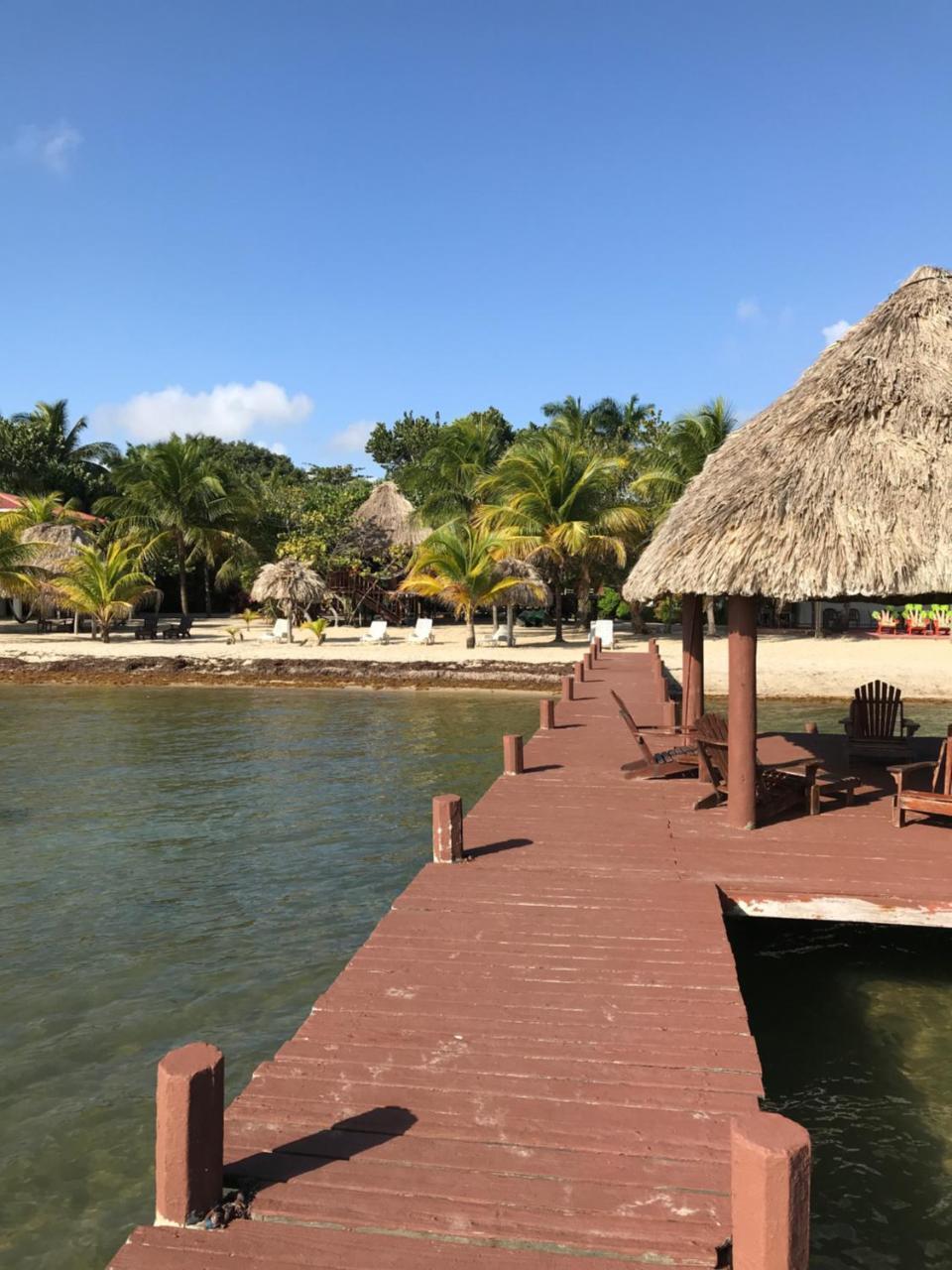 Green Parrot Beach Houses And Resort Placencia Exterior photo