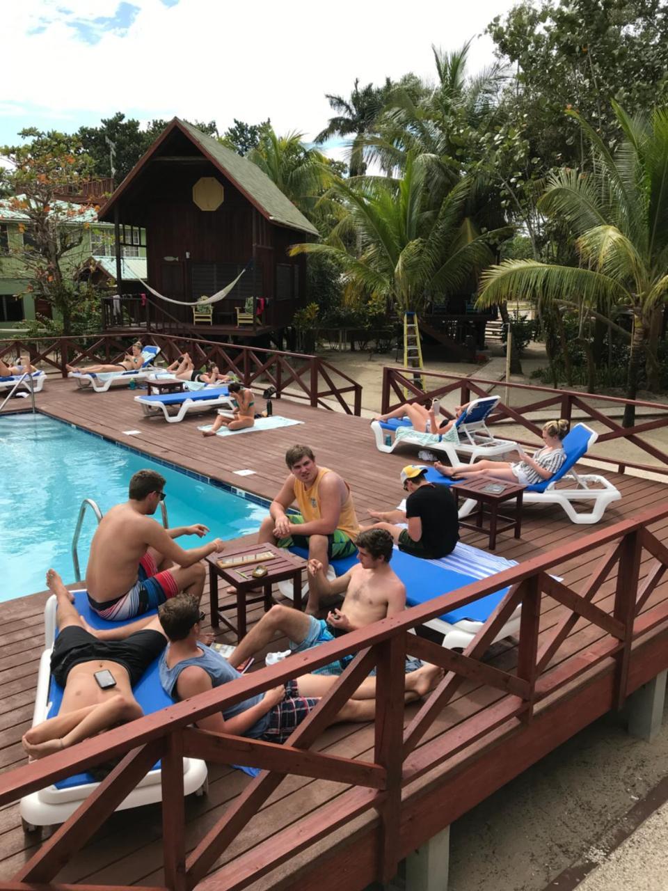Green Parrot Beach Houses And Resort Placencia Exterior photo