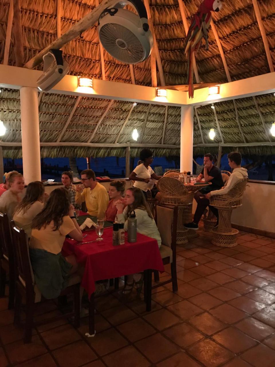 Green Parrot Beach Houses And Resort Placencia Exterior photo