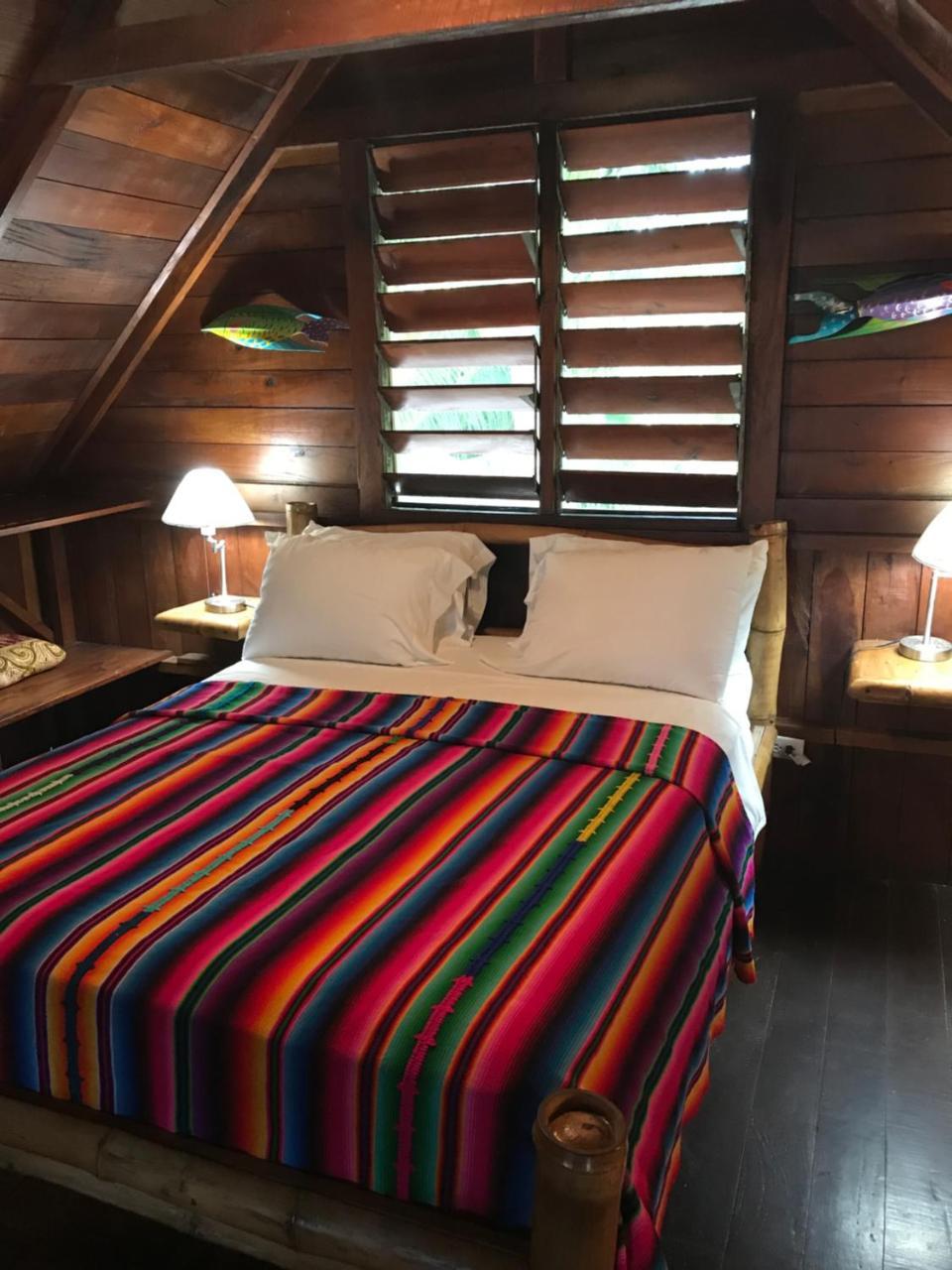 Green Parrot Beach Houses And Resort Placencia Exterior photo