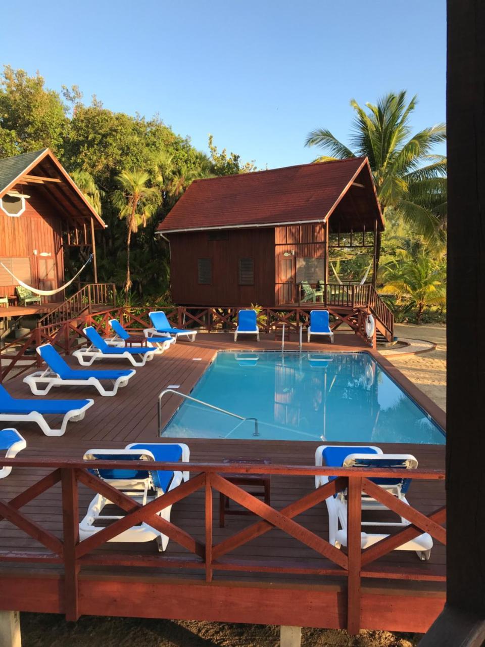 Green Parrot Beach Houses And Resort Placencia Exterior photo